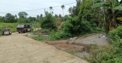 Murang Farm Lot/Fruit Bearing Trees