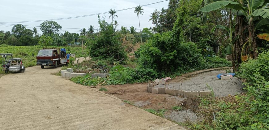 Murang Farm Lot/Fruit Bearing Trees